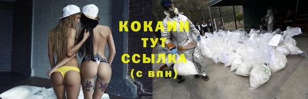 крисы Михайлов