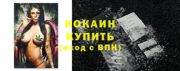 стафф Михайловск
