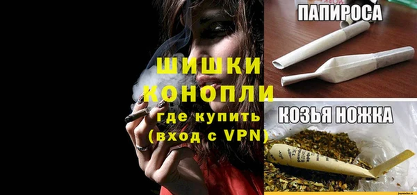 стафф Михайловск